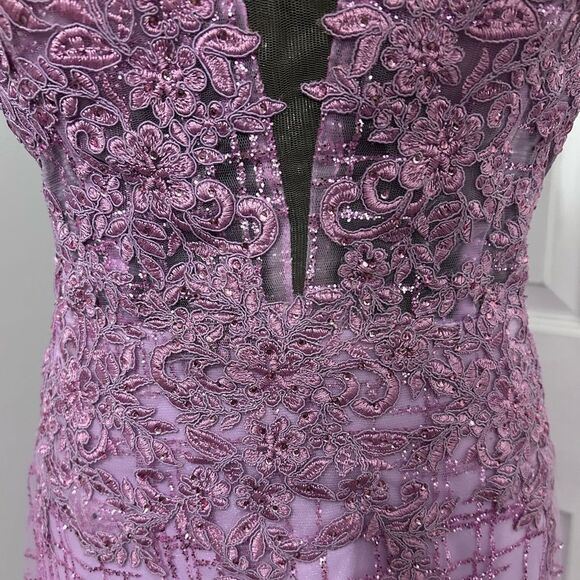Elegant Lace Pink Prom / Honecoming Dress - Picture 4 of 14